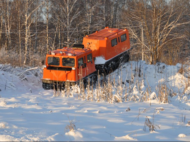 medium_dsc_0313.jpg